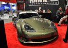 SEMA2014 (309)